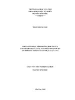khảo sát hoạt tính kháng khuẩn của cao methanol và các cao phân đoạn được ly trích từ thân cây cỏ mực (eclipta alba) 