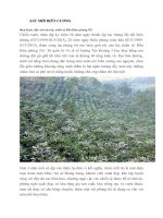 SẮC mới BIÊN CƯƠNG  ban dang