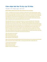 Cảm nhận bài thơ từ ấy của tố hữu 