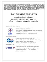 BÁN ĐẤU GIÁ CỔ PHẦN CỦA TẬP ĐOÀN ĐIỆN LỰC VIỆT NAM TẠI CÔNG TY CỔ PHẦN BẢO HIỂM TOÀN CẦU