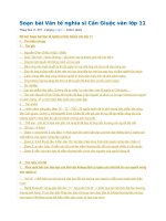 Soạn bài văn tế nghĩa sĩ cần giuộc văn lớp 11 