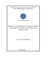 Nghiên cứu đặc tính hóa lý của màng thụ động Cr(III) trên lớp mạ kẽm và khả năng bảo vệ chống ăn mòn