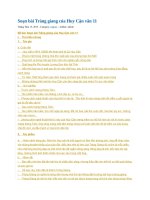 Soạn bài tràng giang của huy cận văn 11 