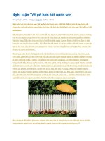 Nghị luận tốt gỗ hơn tốt nước sơn 