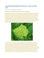 Cảm nhận bài một thứ quà của lúa non 