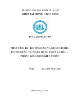 Phân tích rủi ro tín dụng và quản trị rủi ro tín dụng tại ngân hàng TMCP á châu –  phòng giao dịch kiến thiết