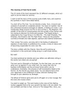 Hướng dẫn bói bài Tarot The journey of fool story of tarot cards 