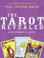 Hướng dẫn bói bài Tarot The tarot revealed a beginners guide 