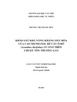 khảo sát khả năng kháng oxy hóa của cao methanol rễ cây ô rô (acanthus ilicifolius) in vivo trên chuột tổn thương gan 