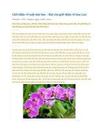 Giới thiệu về một loài hoa 