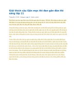 Giải thích câu gần mực thì đen gần đèn thì sáng lớp 11 