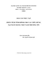 Phân tích tình hình cho vay tiêu dùng tại ngân hàng việt nam thương tín