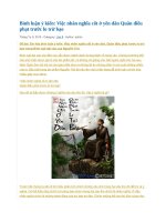 Bình luận ý kiến 