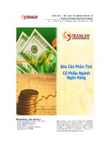 BÁO CÁO PHÂN TÍCHCỔ PHIẾU NGÀNH NGÂN HÀNG