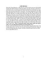 Rủi ro trong kinh doanh chứng khoán, phân loại nguyên nhân và các quy định pháp luật để hạn chế, phòng ngừa rủi ro