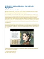 Phân tích bài thơ độc tiểu thanh kí của nguyễn du 