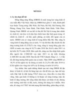 Tăng trưởng kinh tế gắn với giảm nghèo bền vững ở vùng đồng bằng sông hồng việt nam tt 