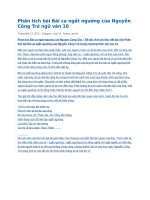 Phân tích bài bài ca ngất ngưởng của nguyễn công trứ ngữ văn 10 