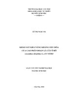 khảo sát khả năng kháng oxy hóa của cao phân đoạn lá cây ô rô (acanthus ilicifolius l ) in vitro 