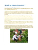 Tả buổi lao động trường em lớp 5 