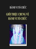 Giáo trình hành vi tổ chức đầy đủ powpoint