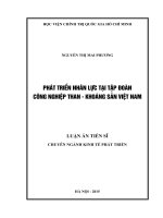 Phát triển nhân lực tại tập đoàn công nghiệp than   khoáng sản việt nam 