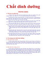 Tổng hợp các chất dinh dưỡng trong thực phẩm.