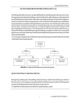 Sự Thất Bại Trong Sinh Sản Ở Gia Súc Cái