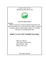 Khảo sát kết quả áp dụng chế độ nuôi dưỡng tới khả năng sinh sản của lợn nái ngoại giống Landrace tại trang trại tư nhân, thôn An Hòa, xã Tản Lĩnh, huyện Ba Vì, thành phố Hà Nội