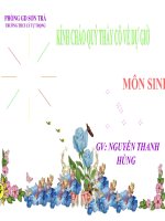 Bài giảng sinh học 8 tham khảo trụ não, tiểu não , não trung gian (6) 