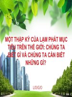 Một thập kỷ của lạm phát mục tiêu trên thế giới chúng ta biết gì và chúng ta cần biết những gì