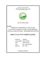 Nghiên cứu ảnh hưởng của mùa vụ đến sức sản xuất thịt gà lai (Mía × Lương Phượng) nuôi tại xã Quyết Thắng – Thành Phố Thái Nguyên