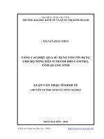 Nâng cao hiệu quả sử dụng vốn tín dụng cho hộ nông dân ở thành phố Cẩm Phả, tỉnh Quảng Ninh