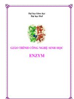 Ứng dụng của công nghệ sinh học trong enzim