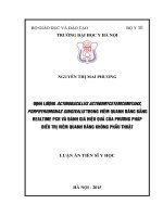 Định lượng Actinobacillus actinomycetemcomitans, Porphyromonas gingivalis bằng realtime PCR và đánh giá hiệu quả của phương pháp điều trị không phẫu thuật bệnh viêm quanh răng