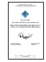 Phân tích tình hình lợi nhuận công ty cổ phần đường biên hòa