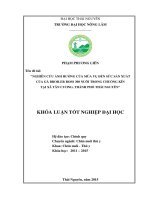 Nghiên cứu ảnh hưởng của mùa vụ đến sức sản xuất của gà Broiler Ross 308 nuôi chuồng kín tại xã Tân Cương, thành phố Thái Nguyên