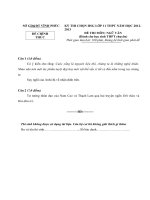 tuyển tập các đề thi học sinh giỏi cấp tỉnh môn ngữ văn có đáp án chi tiết