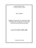 NGHIÊN CỨU HOÁ HỌC VÀ NHẬN DẠNG MỘT SỐ NHÓM CHẤT CÓ TRONG CÂY ĐỎ NGỌN (CRATOXYLUM PRUNIFOLIUM KURTZ)