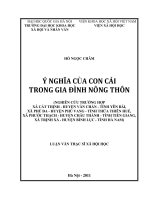 Ý nghĩa của con cái trong gia đình nông thôn (nghiên cứu trường hợp xã Cát Thịnh  huyện Văn Chân  tỉnh Yên Bái, xã Phú Đa  huyện Phú Vang  tỉnh Thừa Thiên Huế, xã Phước Thạch  huyện Châu Thành  tỉnh Tiền Giang, xã Trịnh Xá  huyện Bình Lục  tỉnh Hà