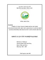 Nghiên cứu thực trạng ô nhiễm trứng giun tròn Oesophagostomum SPP., triệu chứng bệnh, bệnh tích của lợn mắc bệnh tại huyện Phú Bình, tỉnh Thái Nguyên và dùng thuốc điều trị