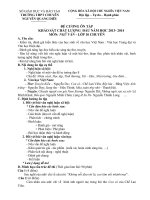 Hướng dẫn ôn tập đầu năm Chuyên Văn lớp 10 năm học 20132014