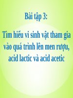 Bài thuyết trình tìm hiểu vi sinh vật tham gia vào quá trình lên men rượu, acid lactic và acid acetic (bài tập 3)