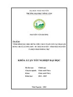 Tình hình mắc hội chứng tiêu chảy ở lợn con tại trại lợn hùng chi xã lương sơn   tp  thái nguyên   tỉnh thái nguyên và biện pháp phòng trị 