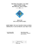 ĐỒ án hệ THỐNG điện GIỚI THIỆU về các NGUỒN NĂNG LƯỢNG mới ĐANG và sẽ áp DỤNG tại VIỆT NAM