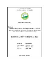 Nghiên cứu một số đặc điểm dịch tễ, bệnh lý, lâm sàng bệnh giun móc ở chó tại một số xã thuộc huyện đồng hỷ, tỉnh thái nguyên và biện pháp phòng trị 