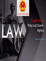 Thuyết trình pháp luật doanh nghiệp