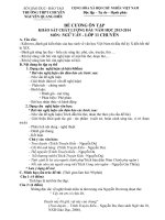 Hướng dẫn ôn tập đầu năm Chuyên Văn lớp 11 năm học 20132014