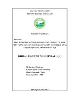 Tình hình chăn nuôi lợn nái sinh sản và phòng trị bệnh phân trắng lợn con tại trại lợn nguyễn thanh lịch, xã ba trại, huyện ba vì, thành phố hà nội 