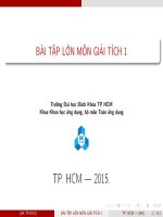 Bài tập lớn môn giải tích 1